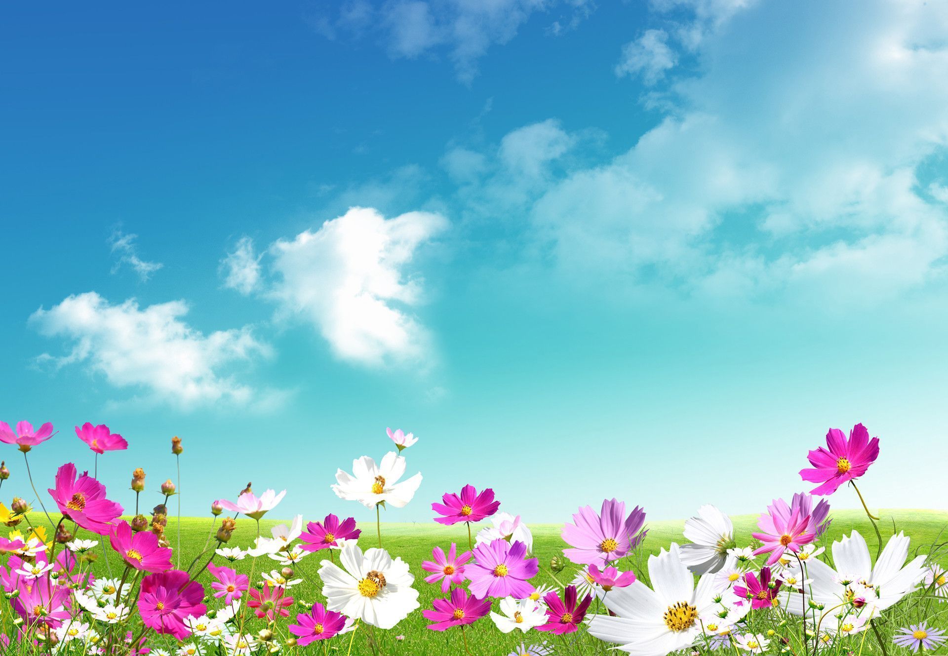 Free Computer Backgrounds For Spring
