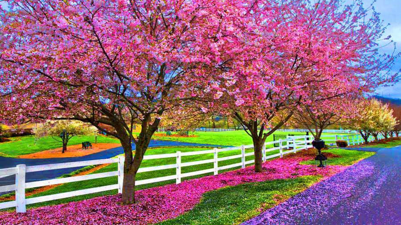 A Beautiful Spring Day Computer Wallpapers, Desktop Backgrounds
