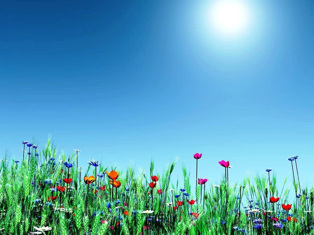 Free Desktop Backgrounds For Spring Beautiful by Free download