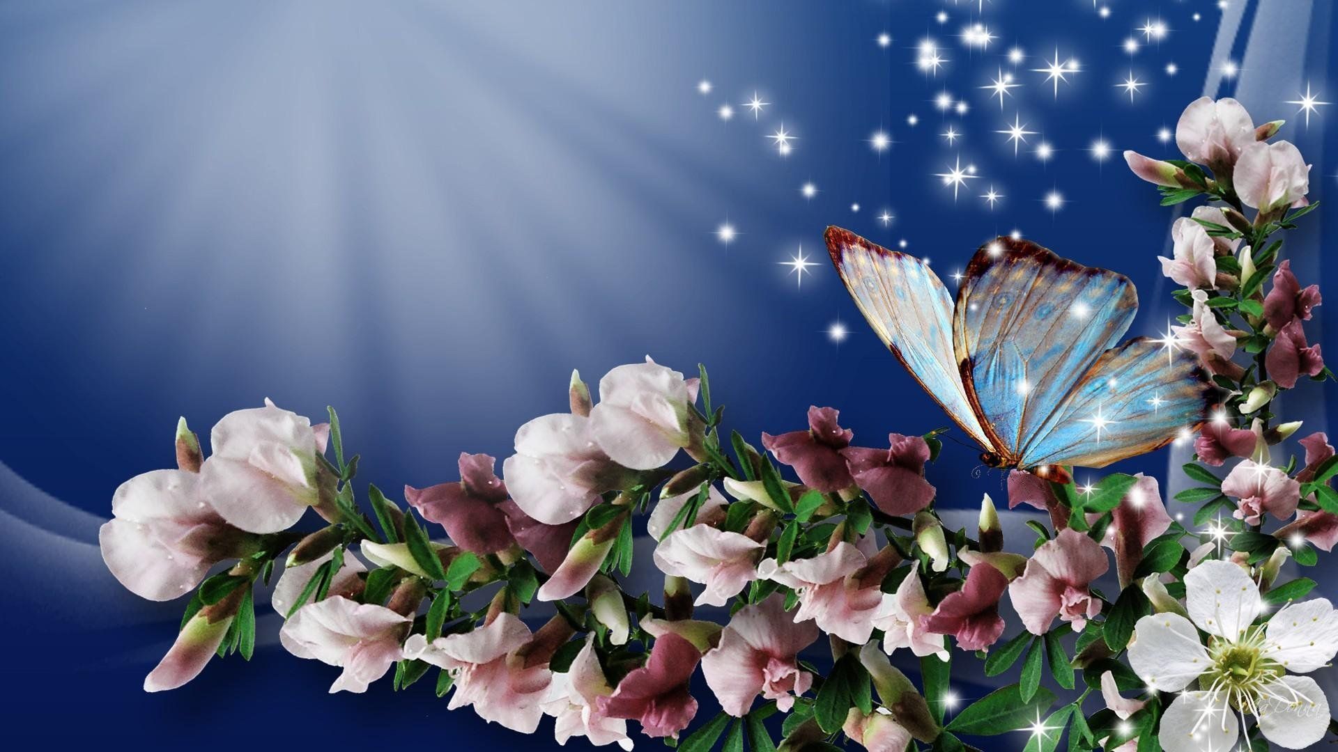 Spring Butterfly HD Desktop Backgrounds 7755 - HD Wallpapers Site