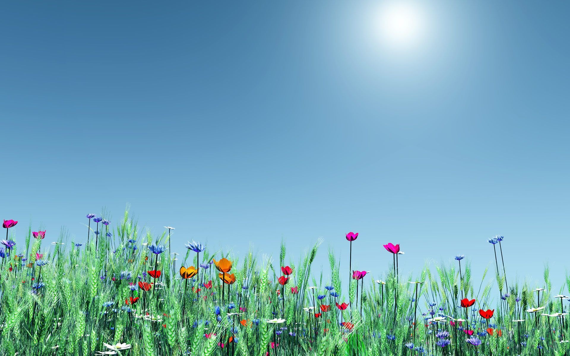 Spring Background Free Download Wallpapers, Backgrounds, Images