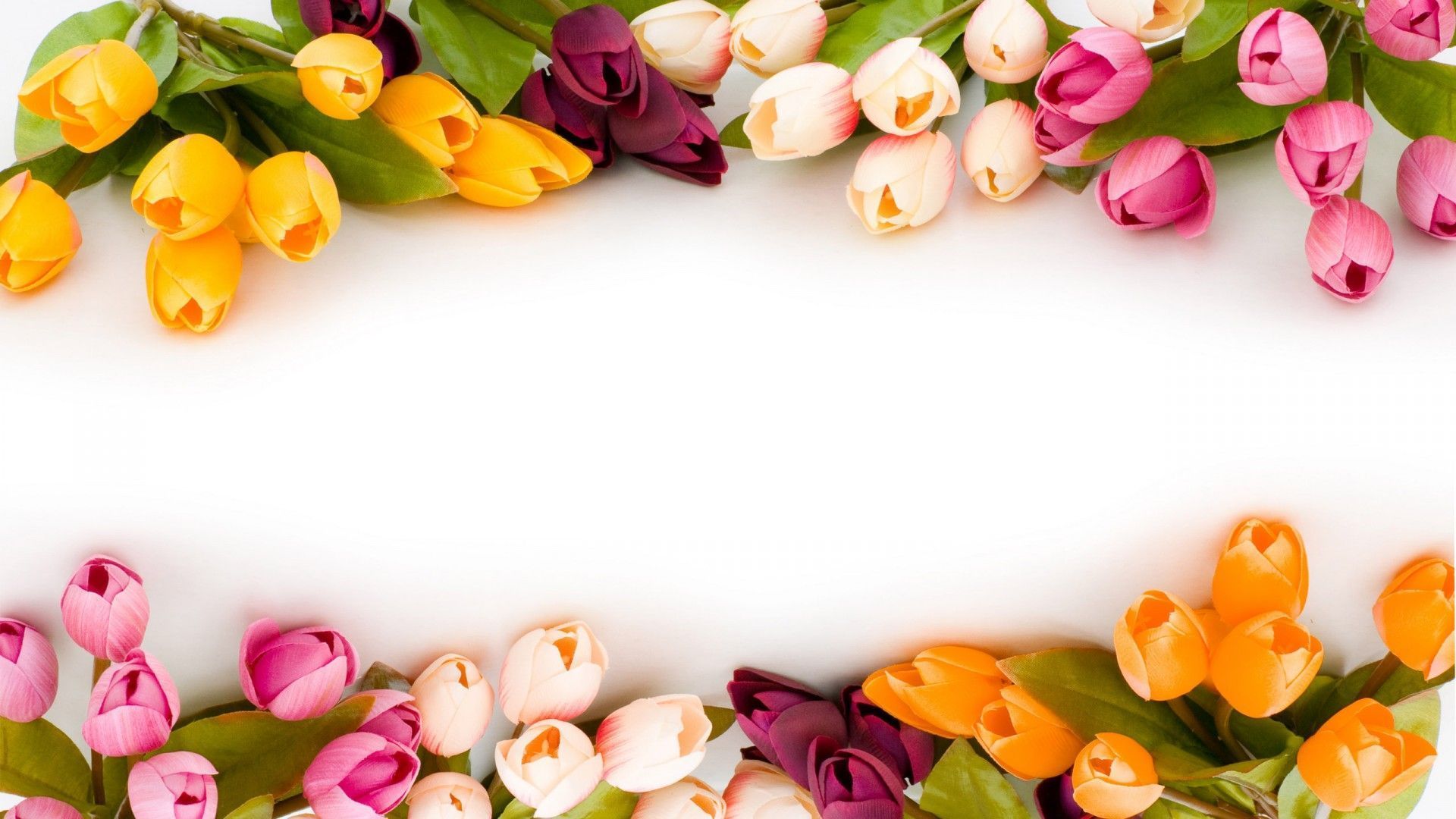 Flowers PPT Backgrounds Templates Download Free Flowers 