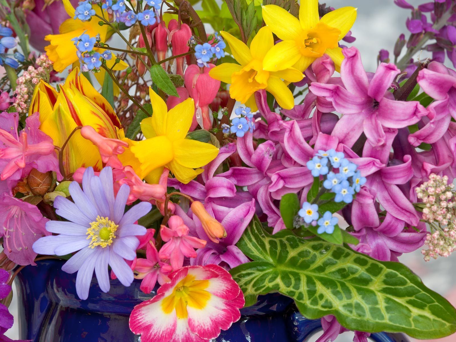 spring_flowers_from_the_garden-wallpapers.jpg
