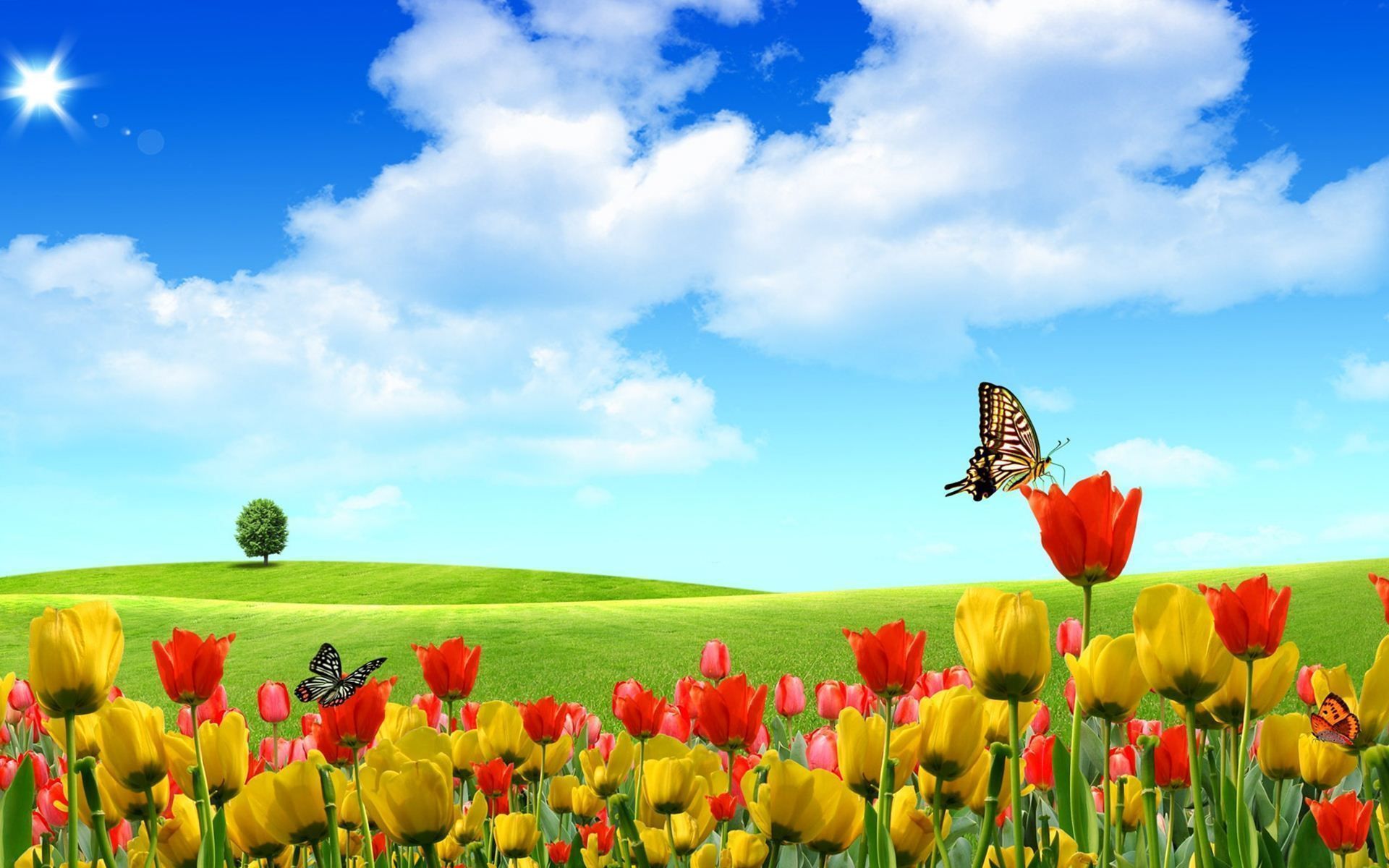 wallpapers hd nature spring