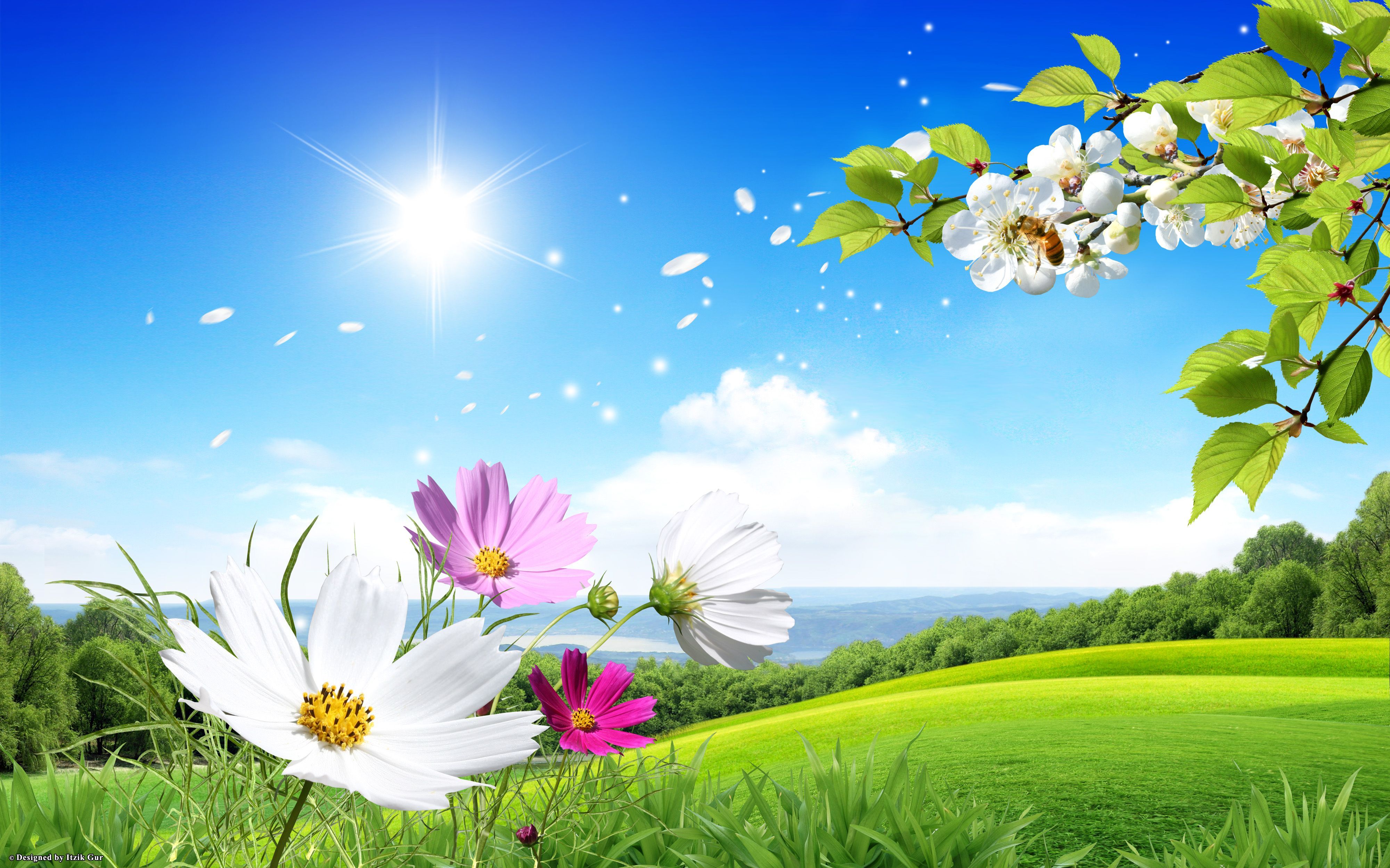 Spring Wallpapers HD Spring Images For Background 2014 WooInfo