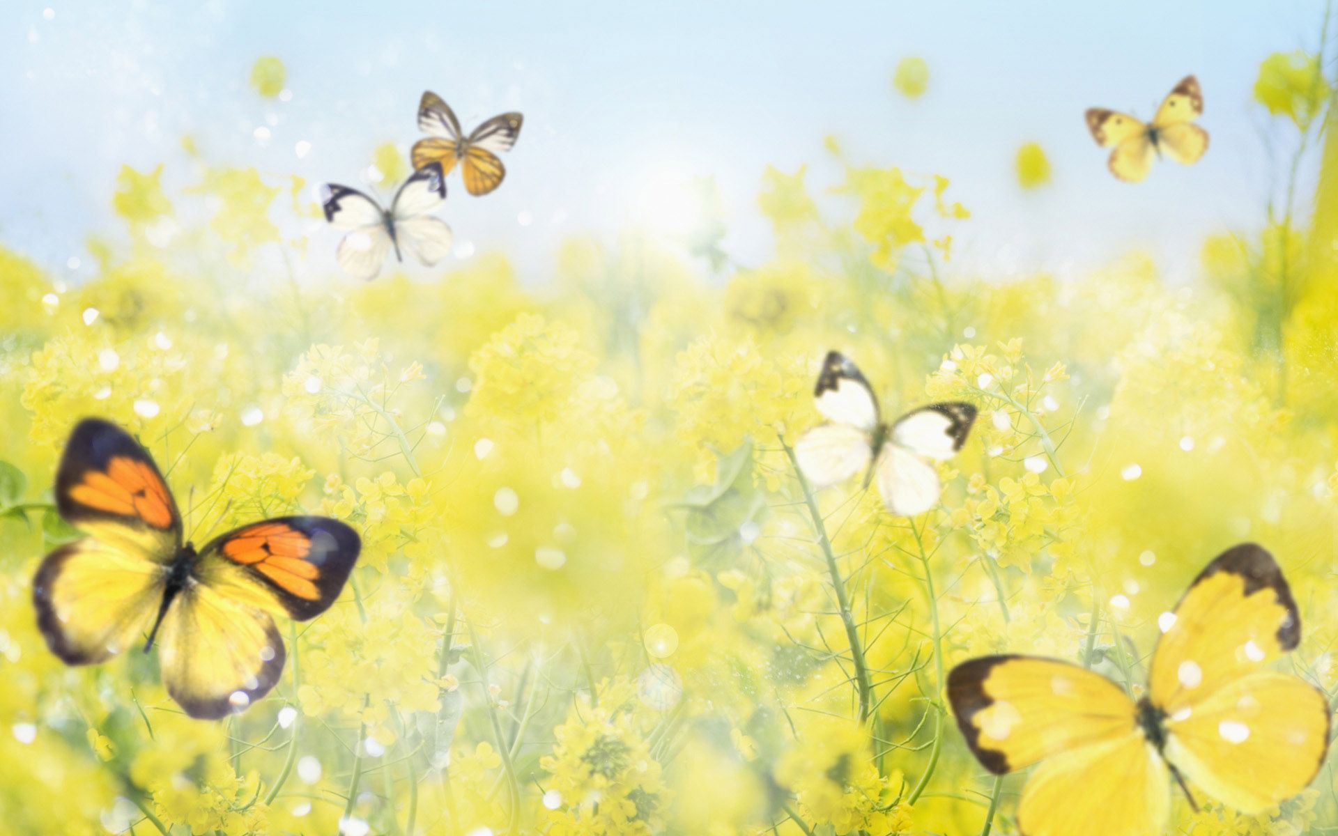 Beautiful Spring - Spring Wallpaper (27865667) - Fanpop