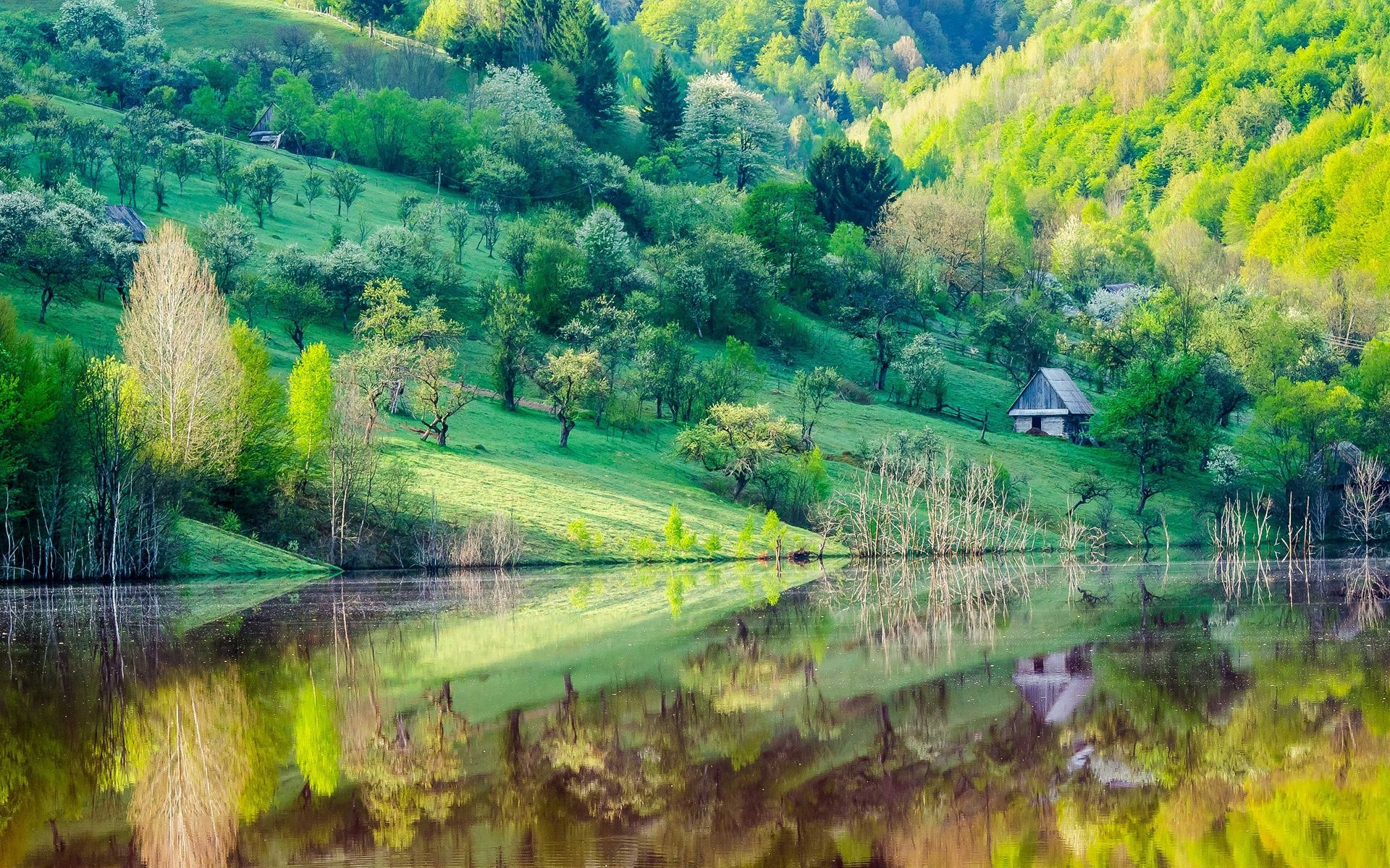 Mountain slope, trees, house, lake, water reflection, spring