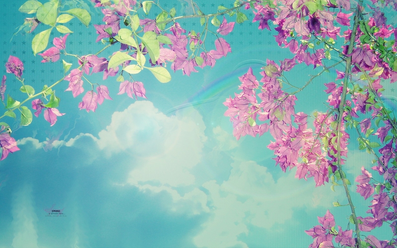 Spring Season Wallpaper Hd - Your Pictures