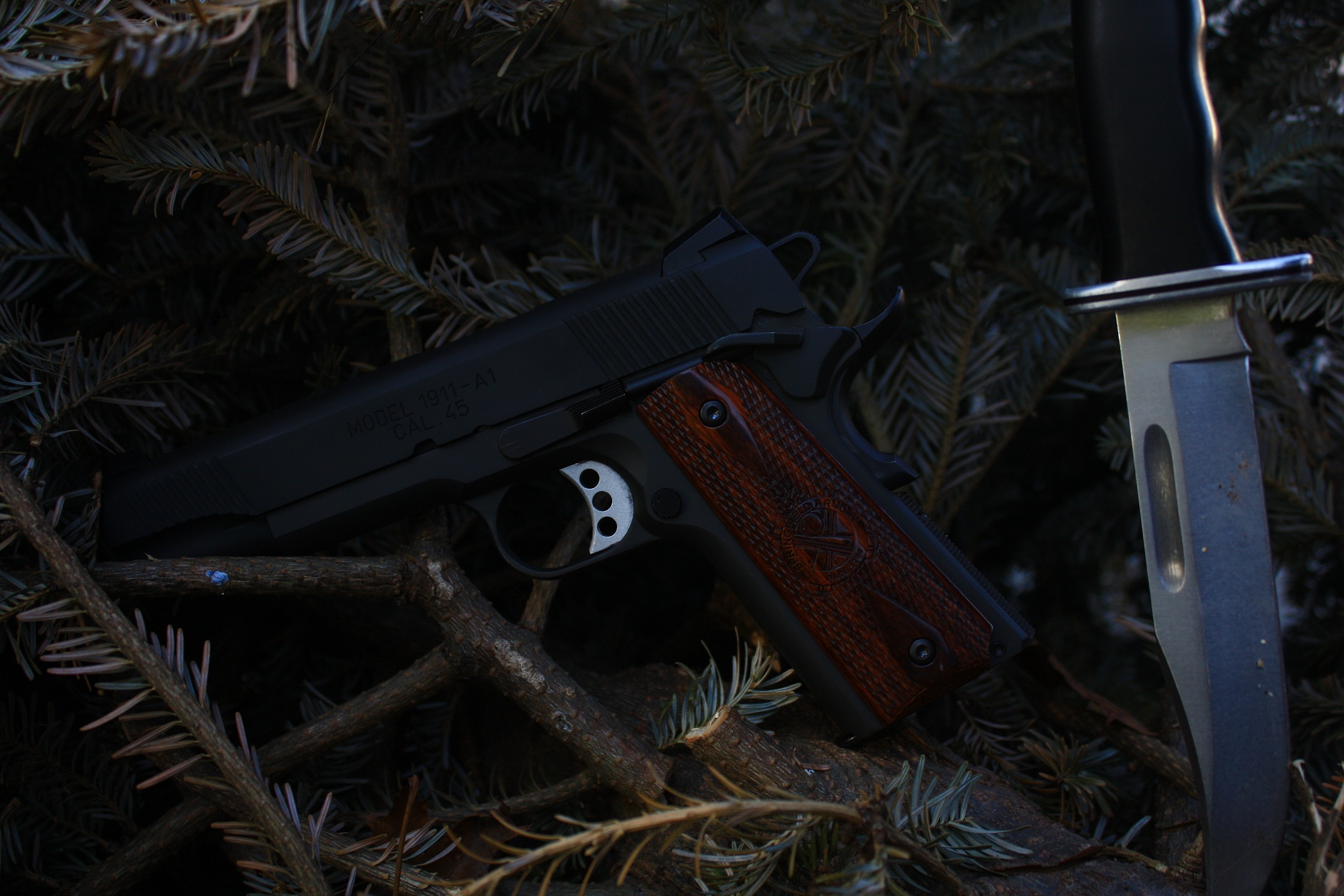 11 Springfield Armory 1911 Pistol HD Wallpapers | Backgrounds ...