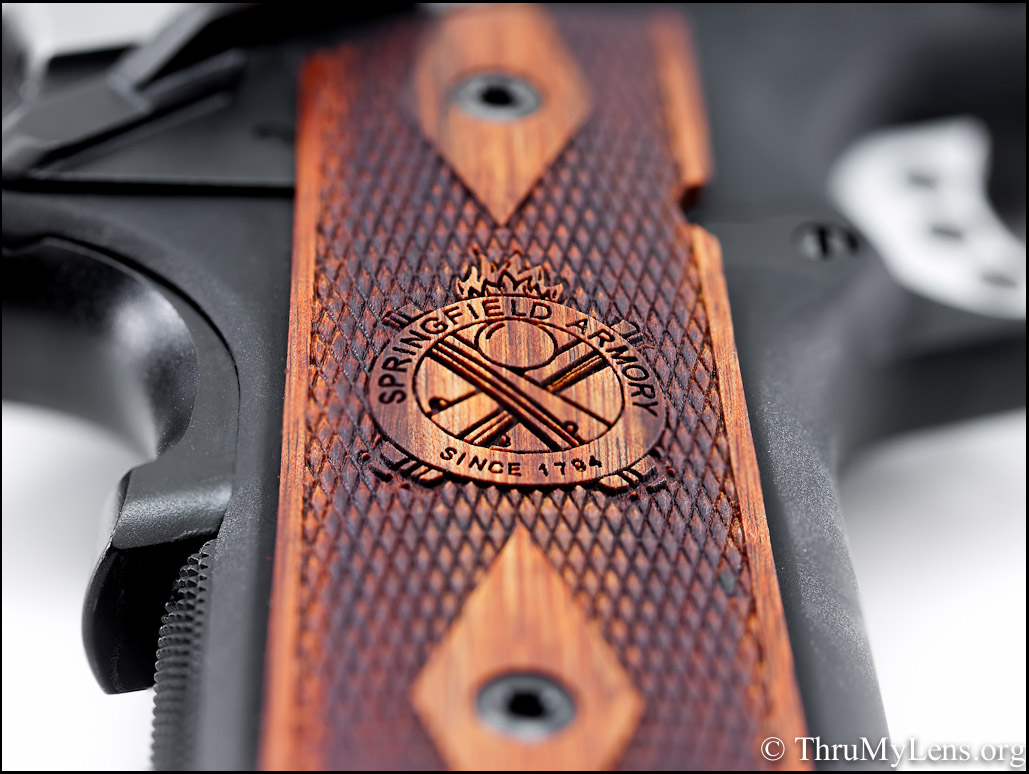Review Of The Springfield Armory EMP 9mm | ThruMyLens