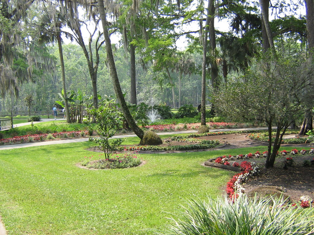 Tropical gardens and birds at Silver Springs Park - pictures