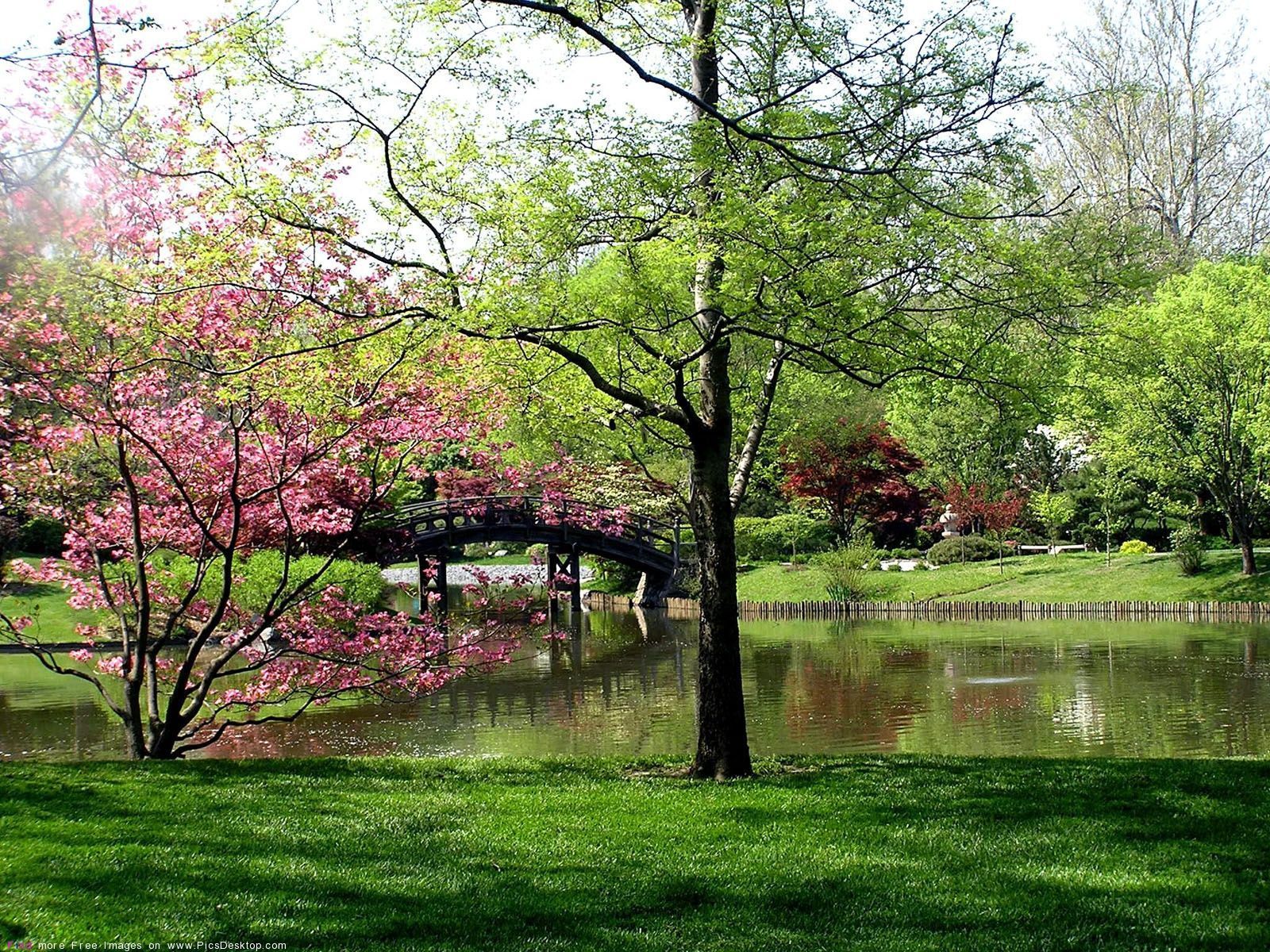 Springtime Desktop Backgrounds
