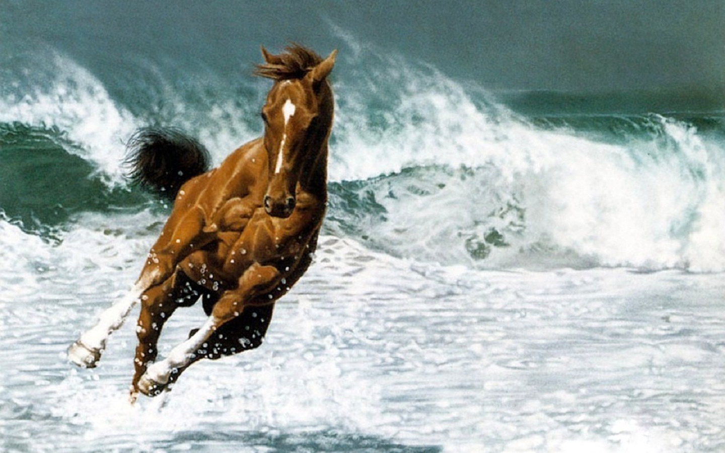 Horse sprint at ocean beach wide HD wallpaper | HD Wallpapers Rocks