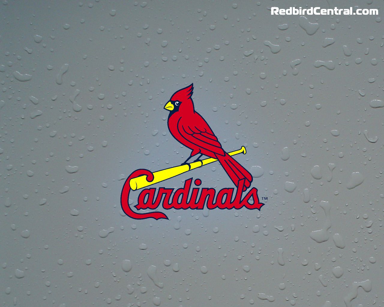St. Louis Cardinals iPhone 5 wallpaper by LicoriceJack on DeviantArt