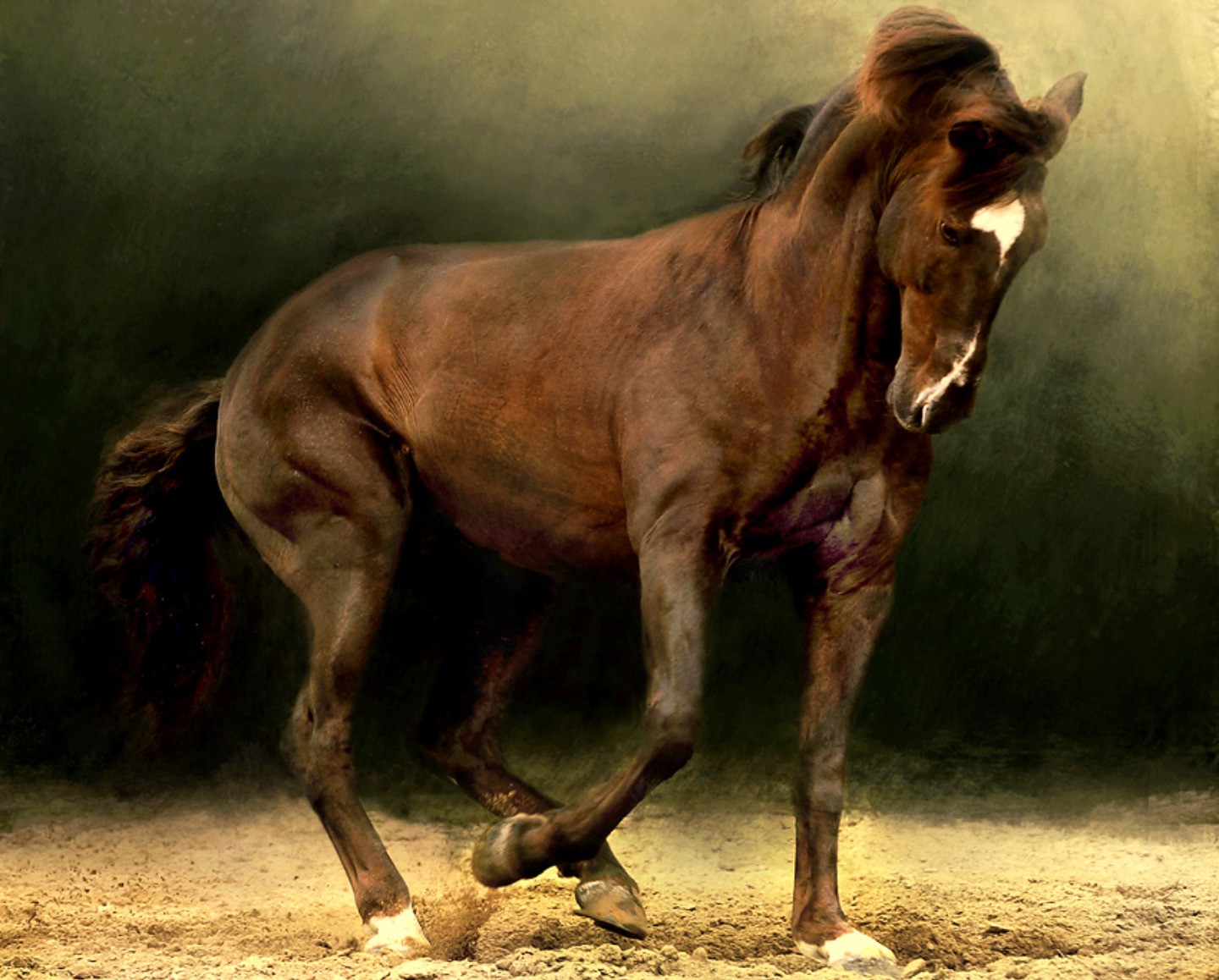 Horses: Strength Beauty Standing White Forehead Chestnut Stallion ...