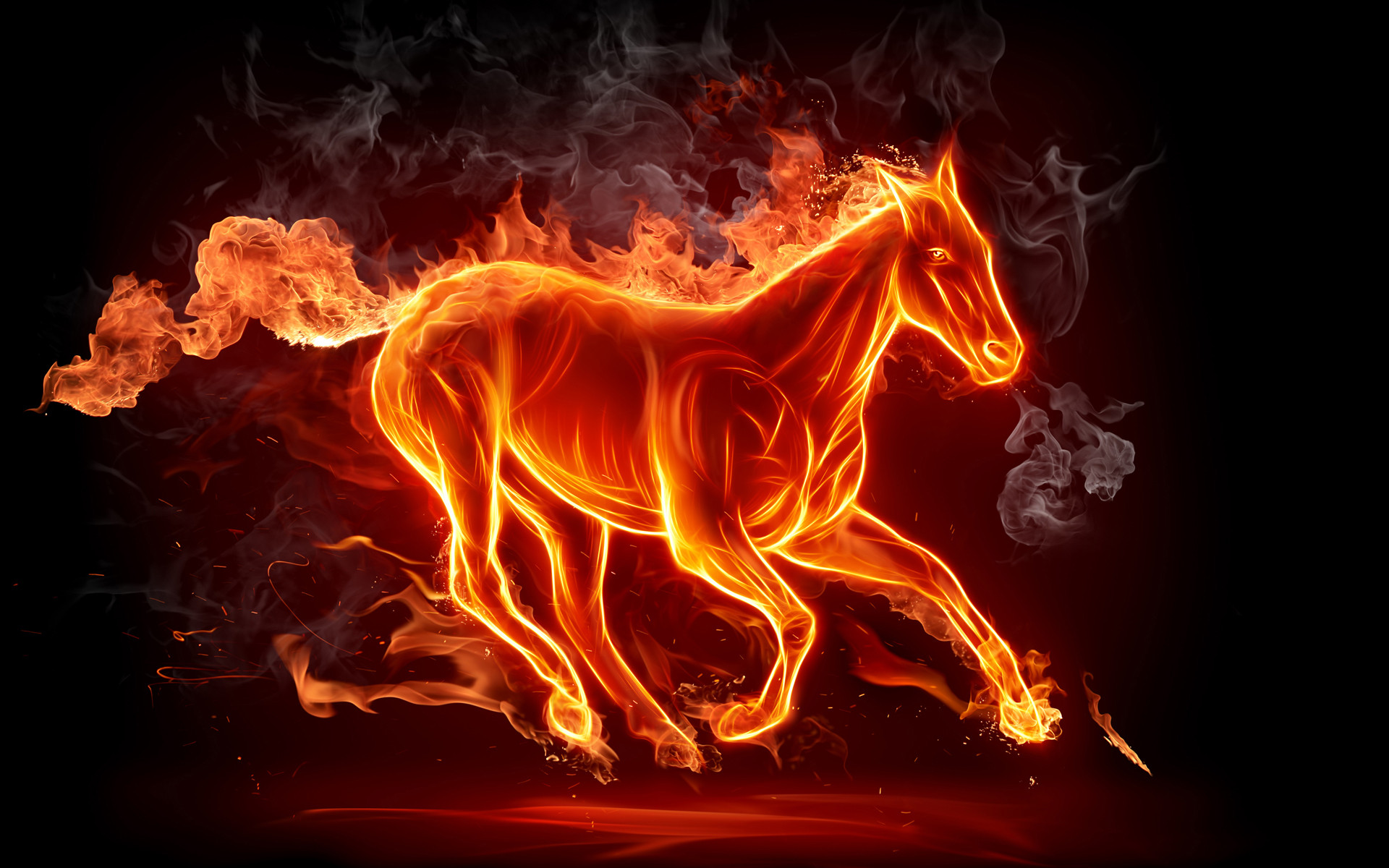 Wallpaper black, horse, fire, Fiery stallion.