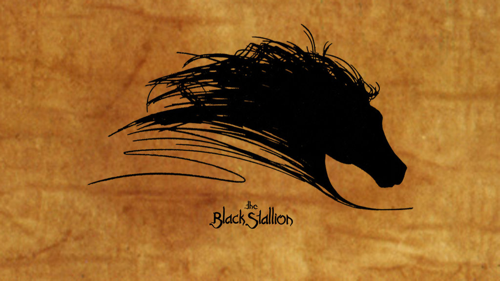 The Black Stallion - Cass Ole Wallpaper by Curtopex on DeviantArt