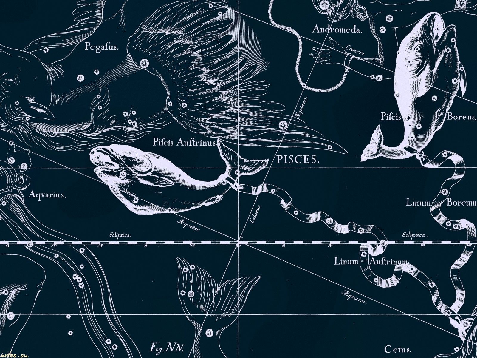 Star chart, fishes wallpapers and images - wallpapers, pictures
