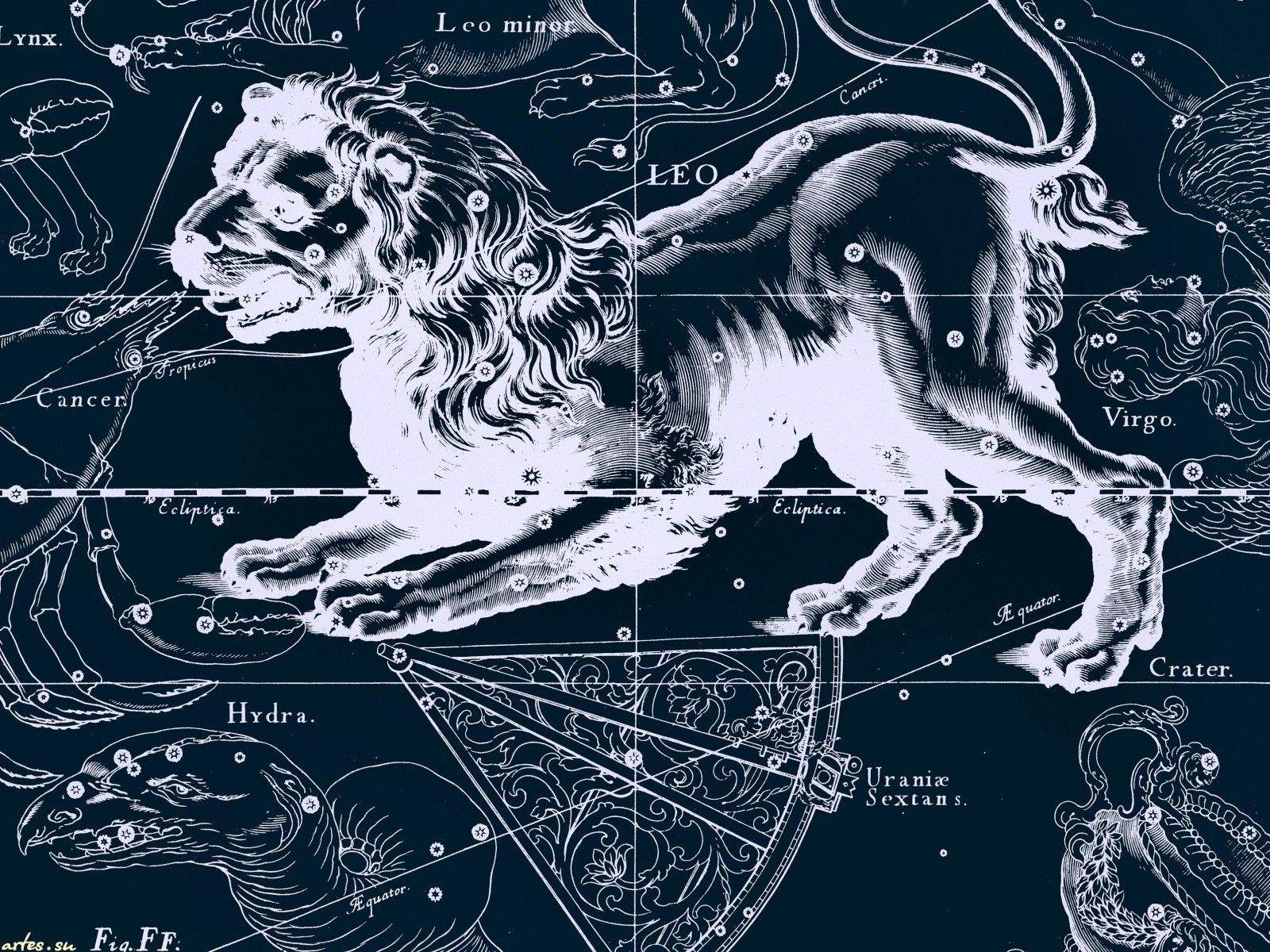 Star chart, a lion wallpapers and images - wallpapers, pictures
