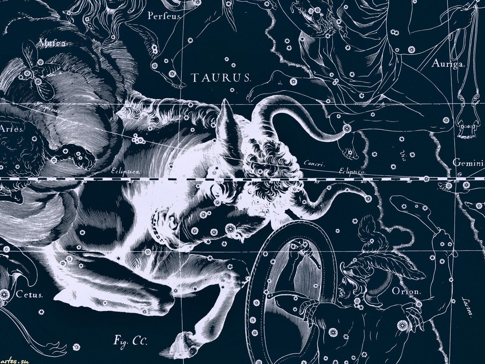 Star chart, Taurus wallpapers and images - wallpapers, pictures
