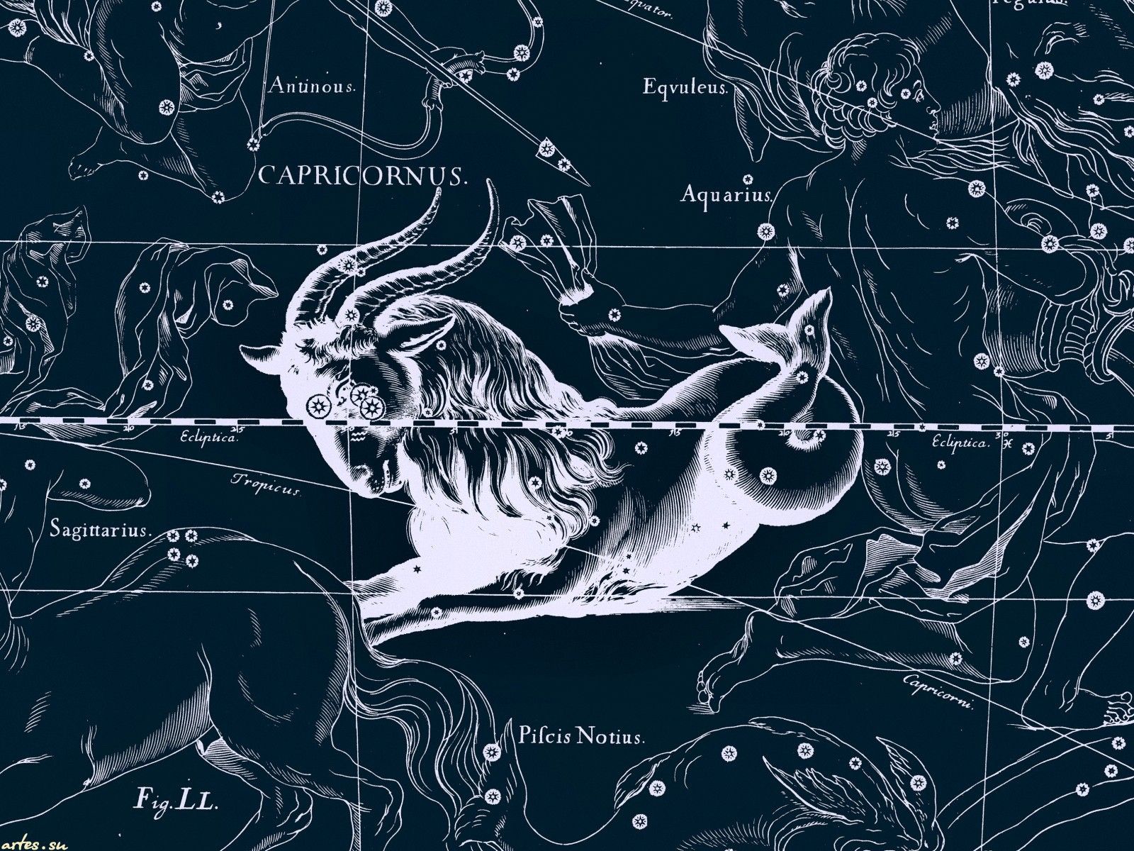 Star chart, Capricorn wallpapers and images - wallpapers, pictures