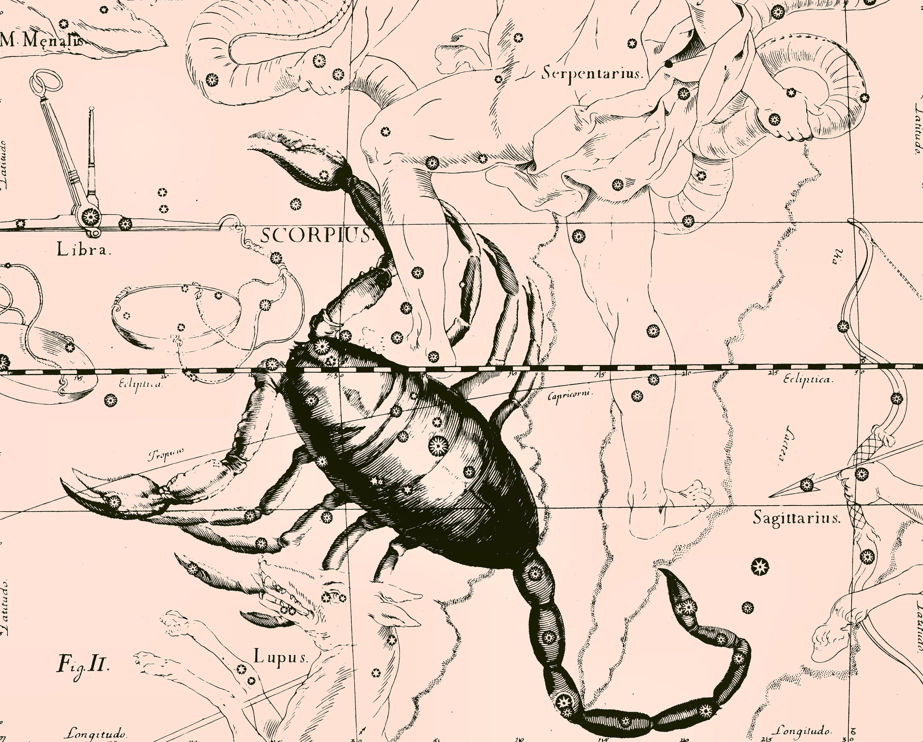 Star chart, scorpion, pink wallpapers and images - wallpapers