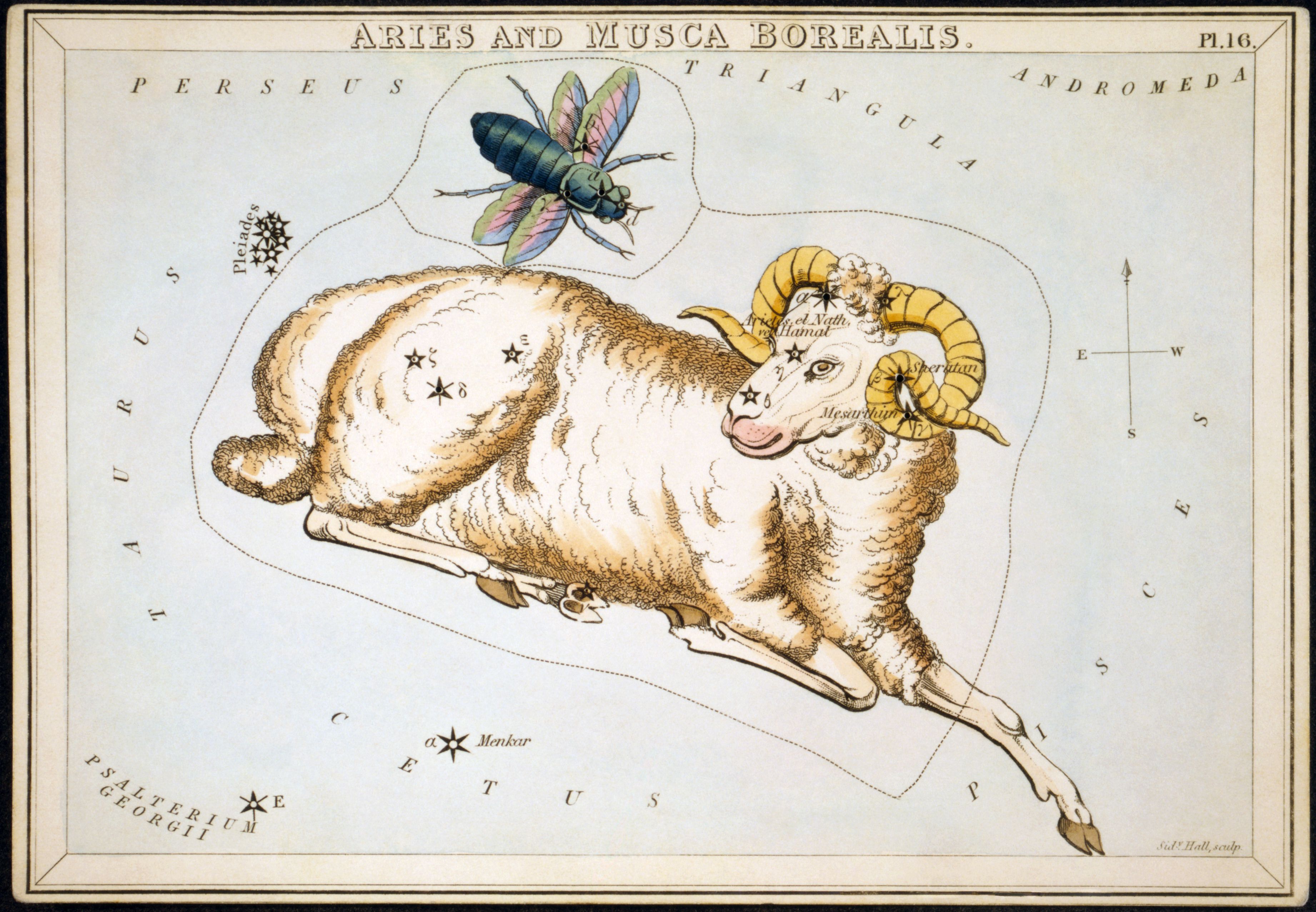 Aries on the star chart wallpapers and images - wallpapers