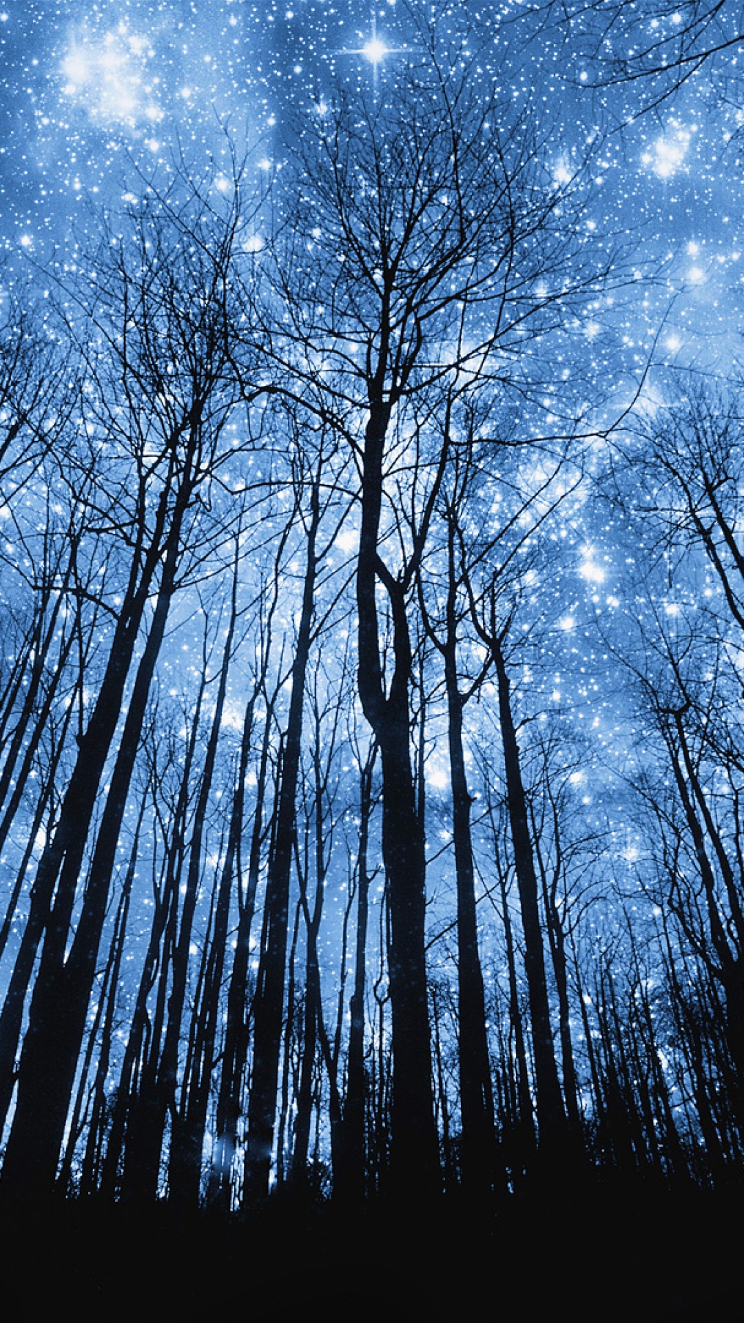 Starry Night In Forest iPhone 5 Wallpaper ID 20171