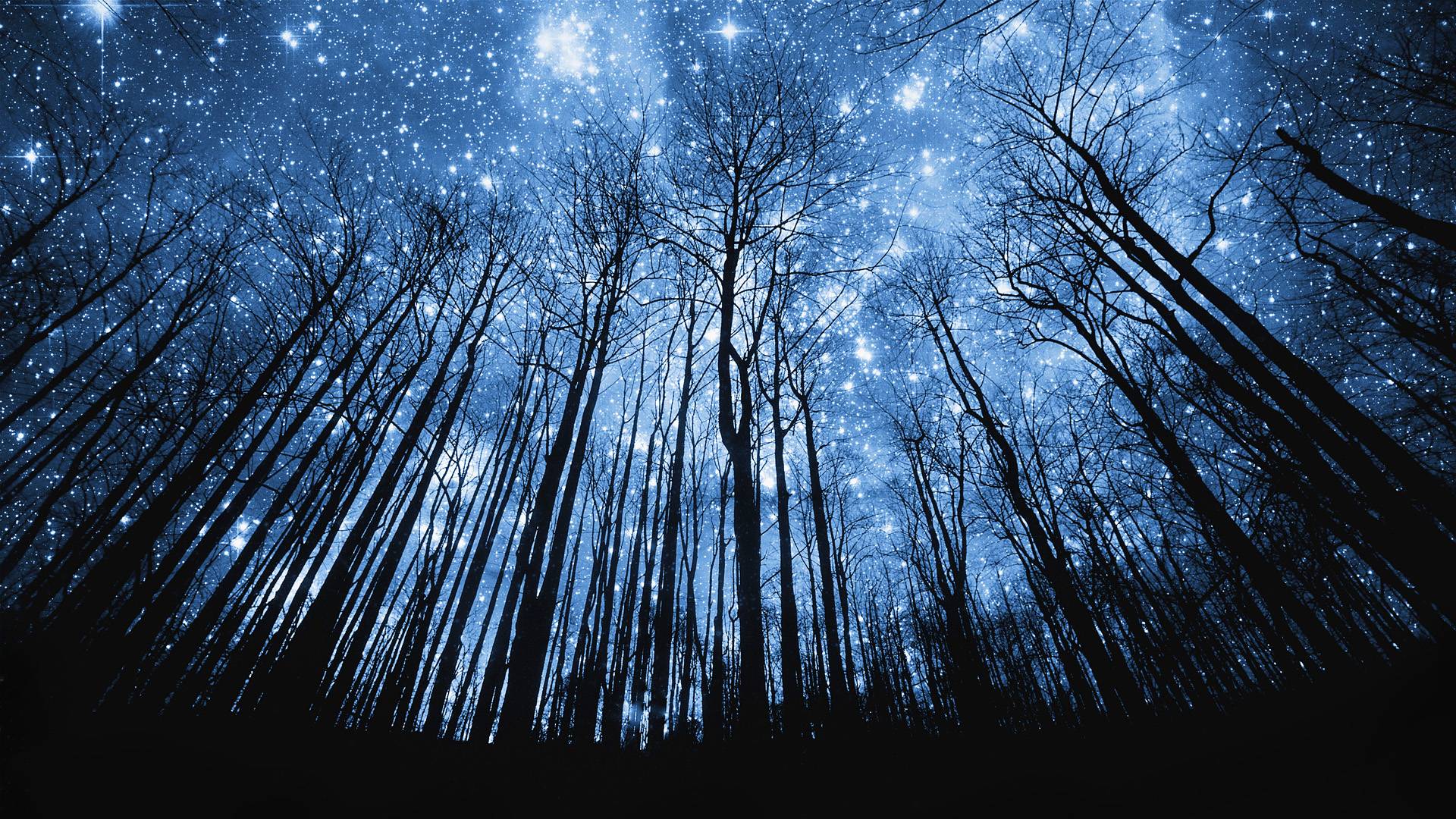 Starry Night Sky Wallpapers - Wallpaper Cave