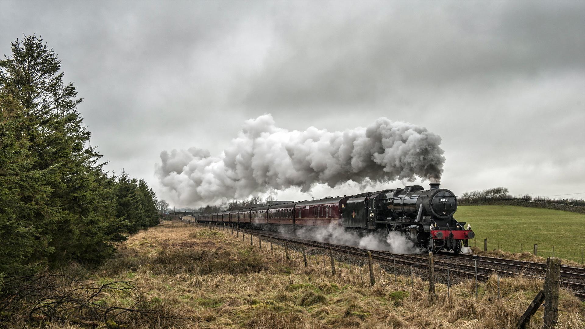 Gorgeous steam train rolling through the countryside -