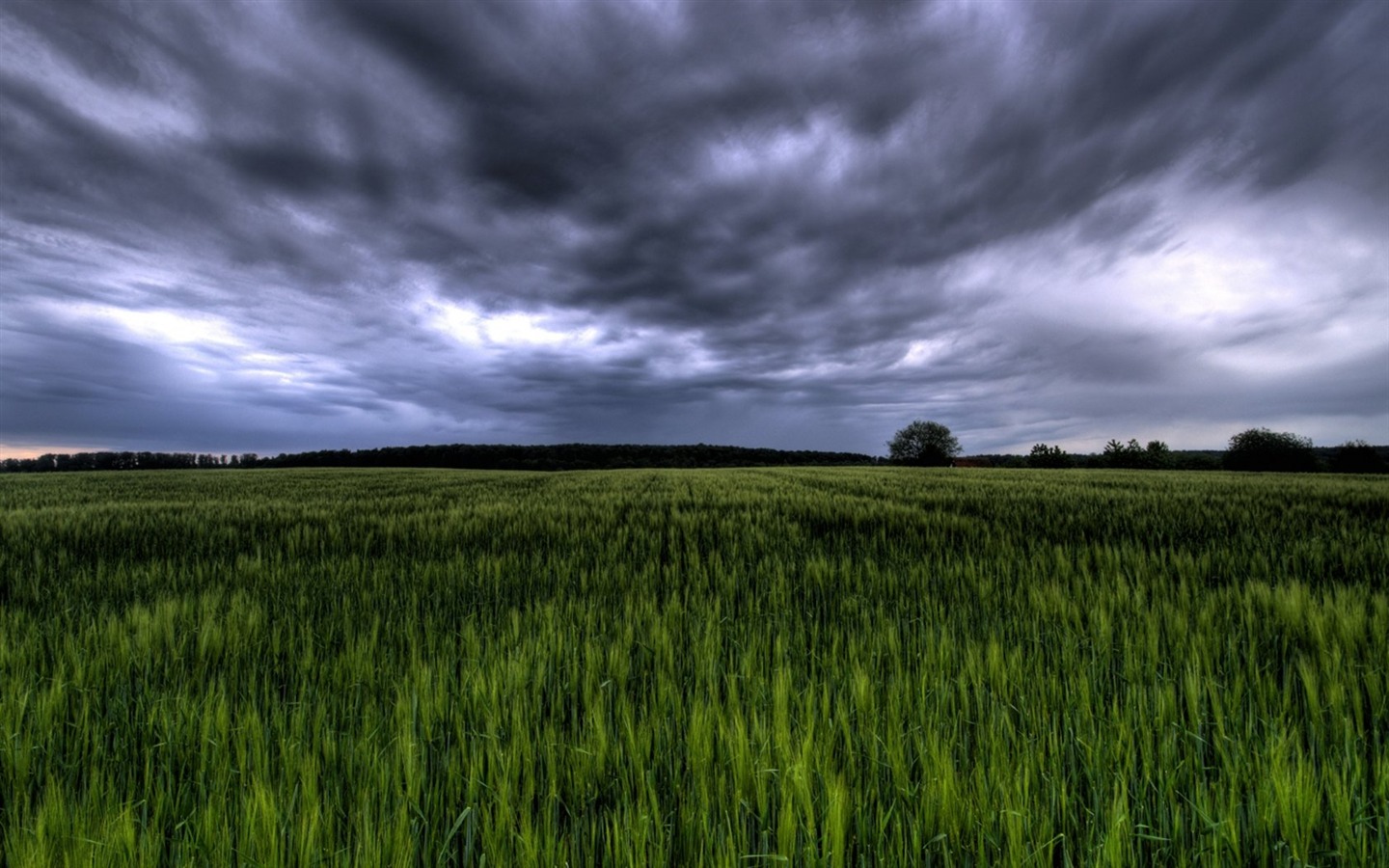 Green field under stormy sky Germany - 1440x900 wallpaper download ...