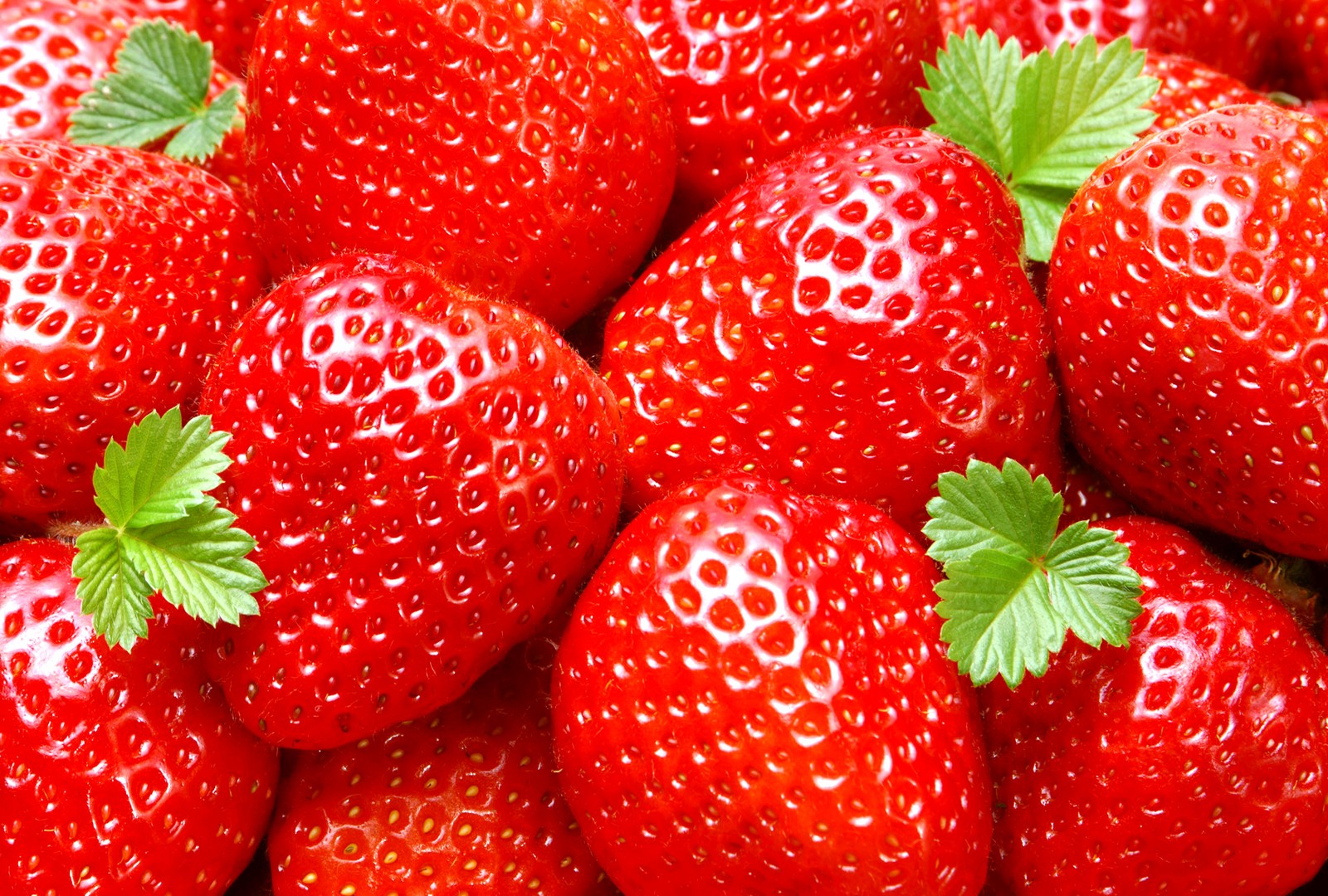 Fruits strawberry wallpaper hd Fine HD Wallpapaper RR