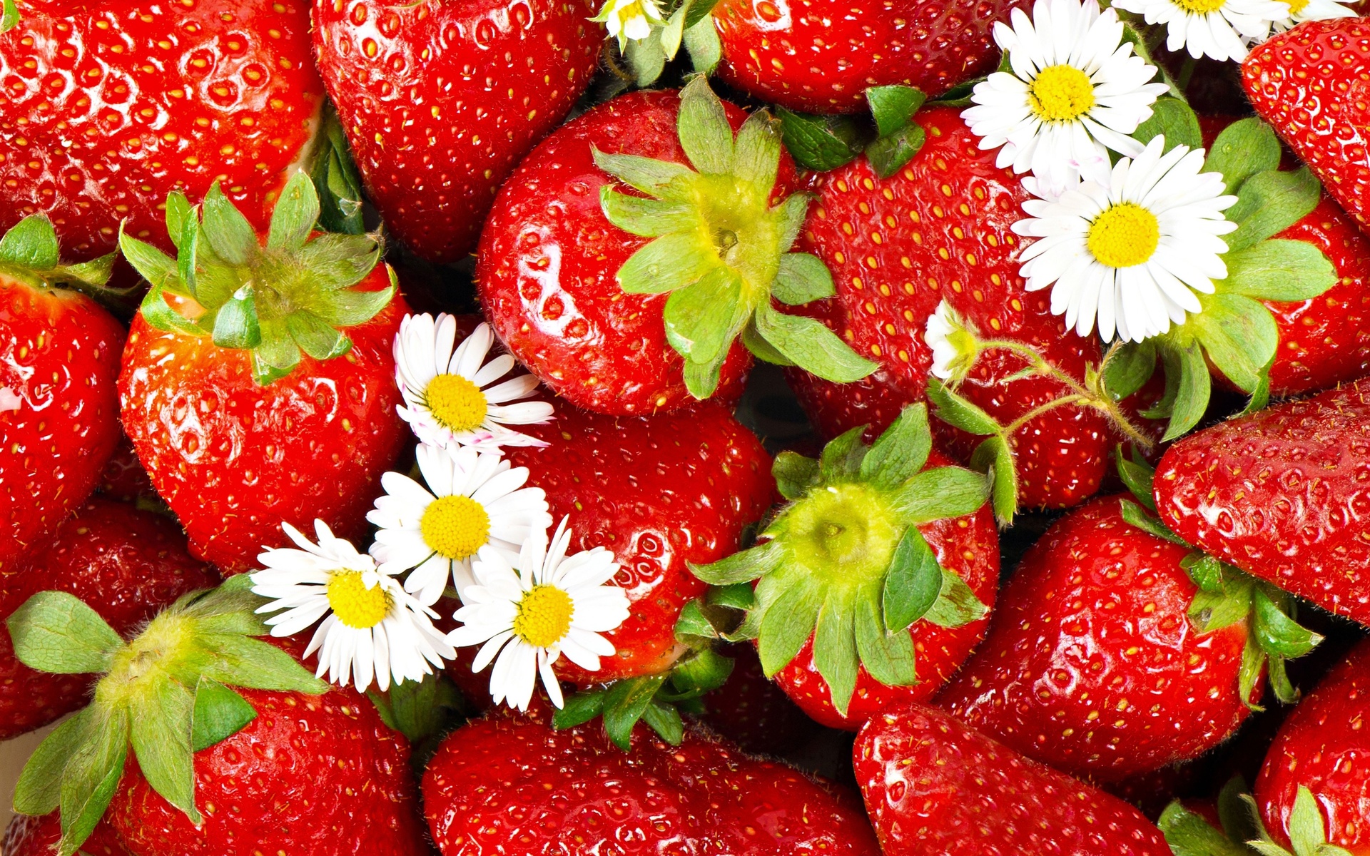 Strawberry Backgrounds - Wallpaper Zone