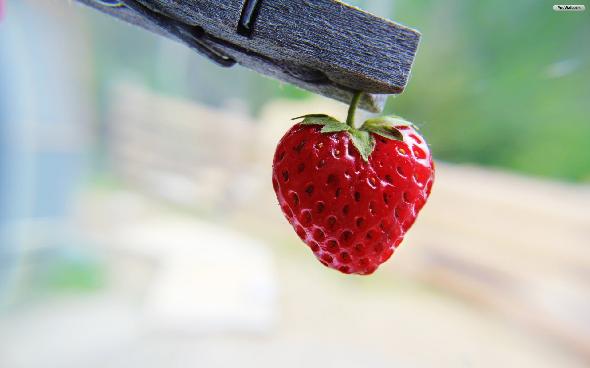 YouWall - Red Strawberry Wallpaper - wallpaper,wallpapers,free ...