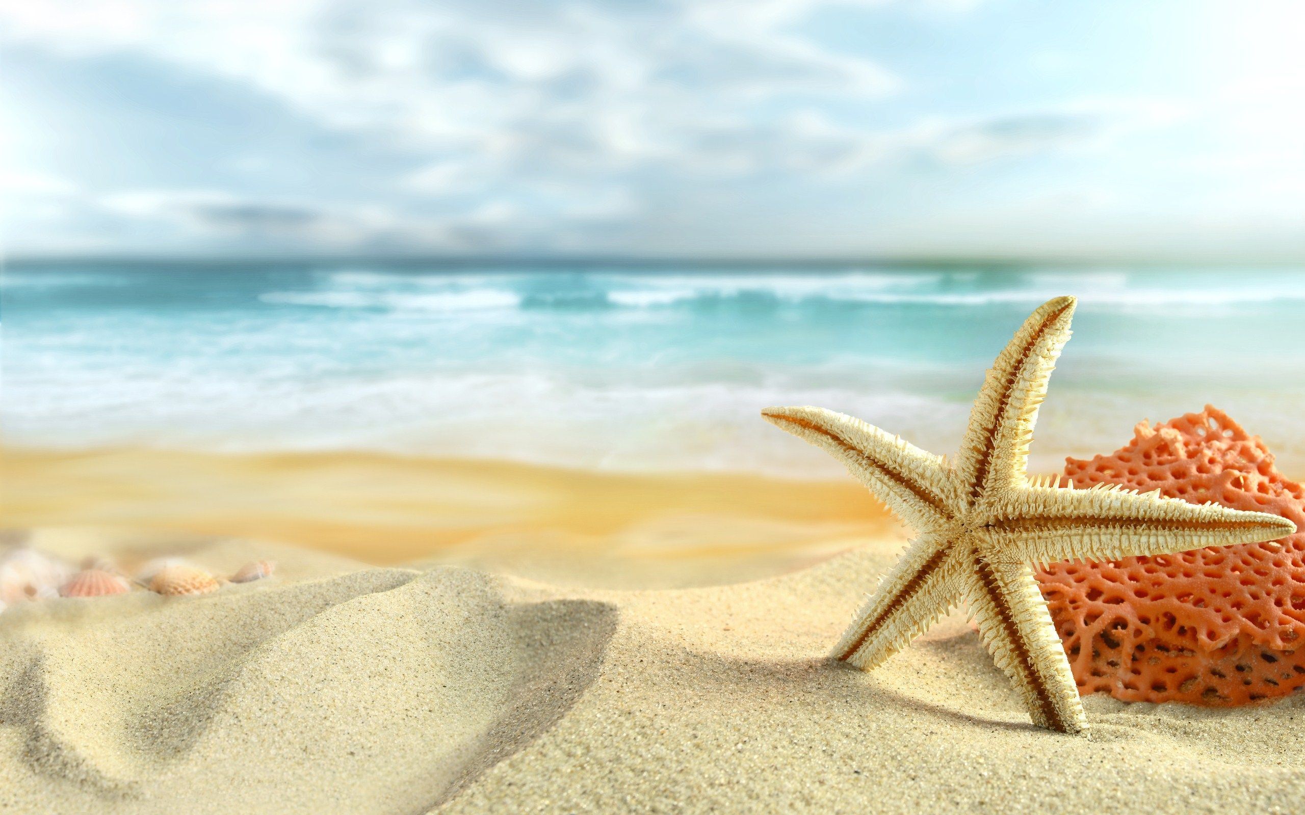 Summer Background HD Wallpapers 13960 - HD Wallpapers Site