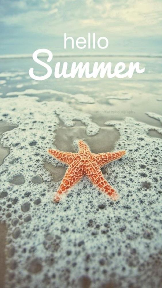 Summer Wallpaper on Pinterest Iphone Wallpapers, Cute Wallpapers