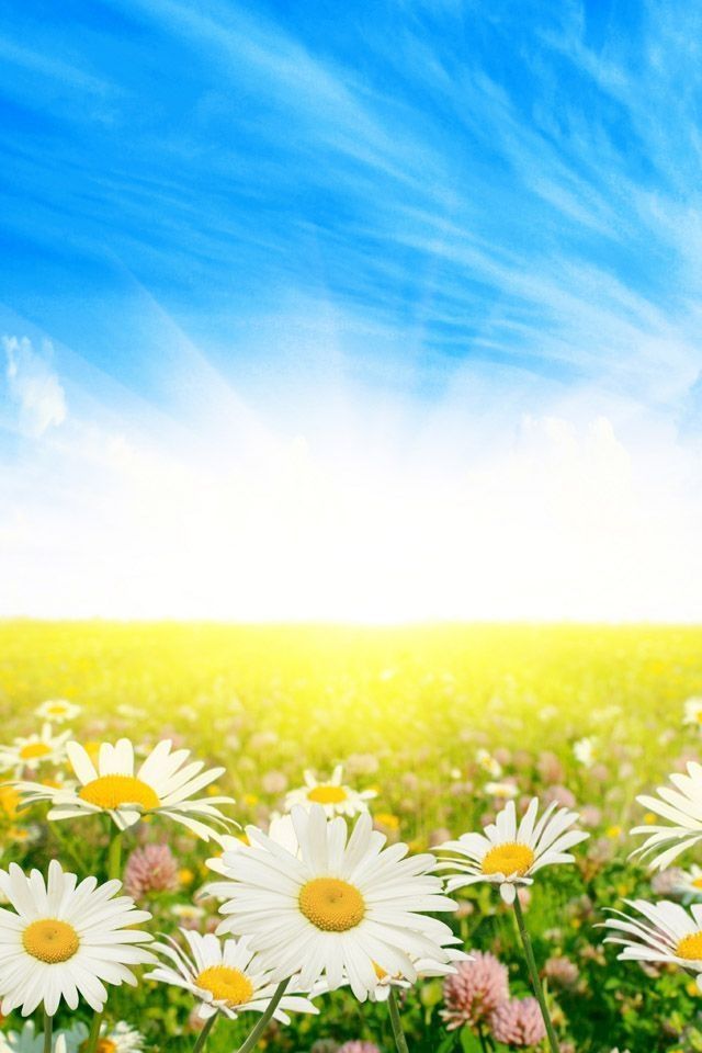 Wonderful summer landscape iphone wallpaper to download