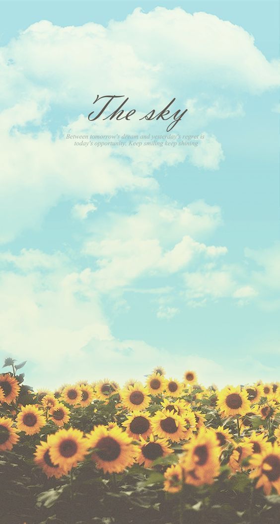 Summer Backgrounds on Pinterest | Summer Wallpaper, Background ...