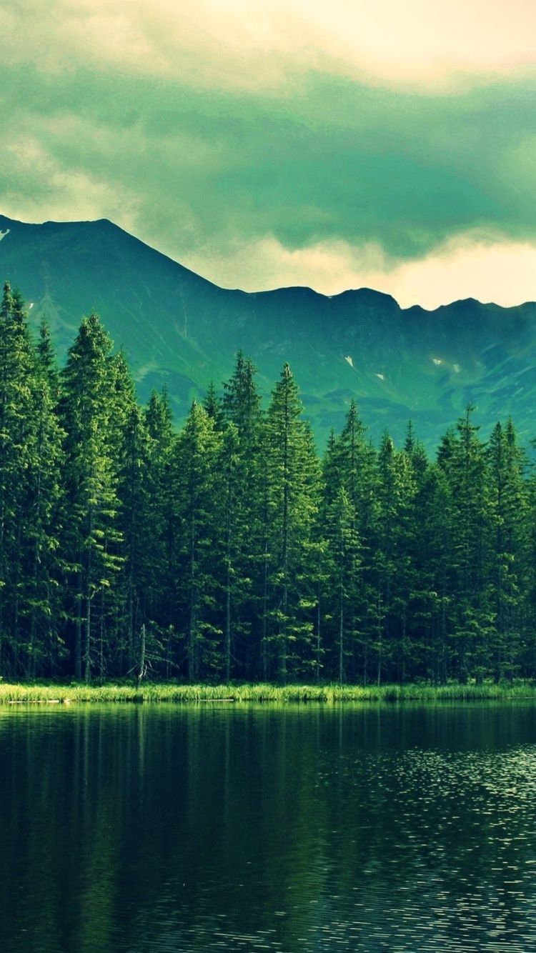 Download Wallpaper 750x1334 Mountains, Summer, Lake, Trees, Forest ...