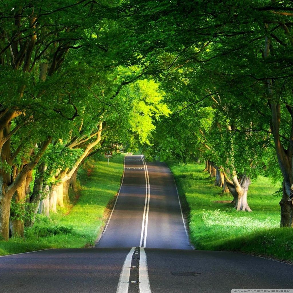 Road, Summer HD desktop wallpaper Widescreen High Definition
