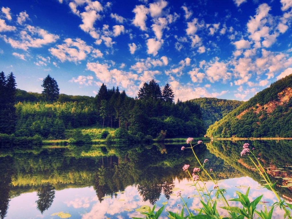 The Nature of Summer Scene - HD Wallpapers Widescreen - 1024x768