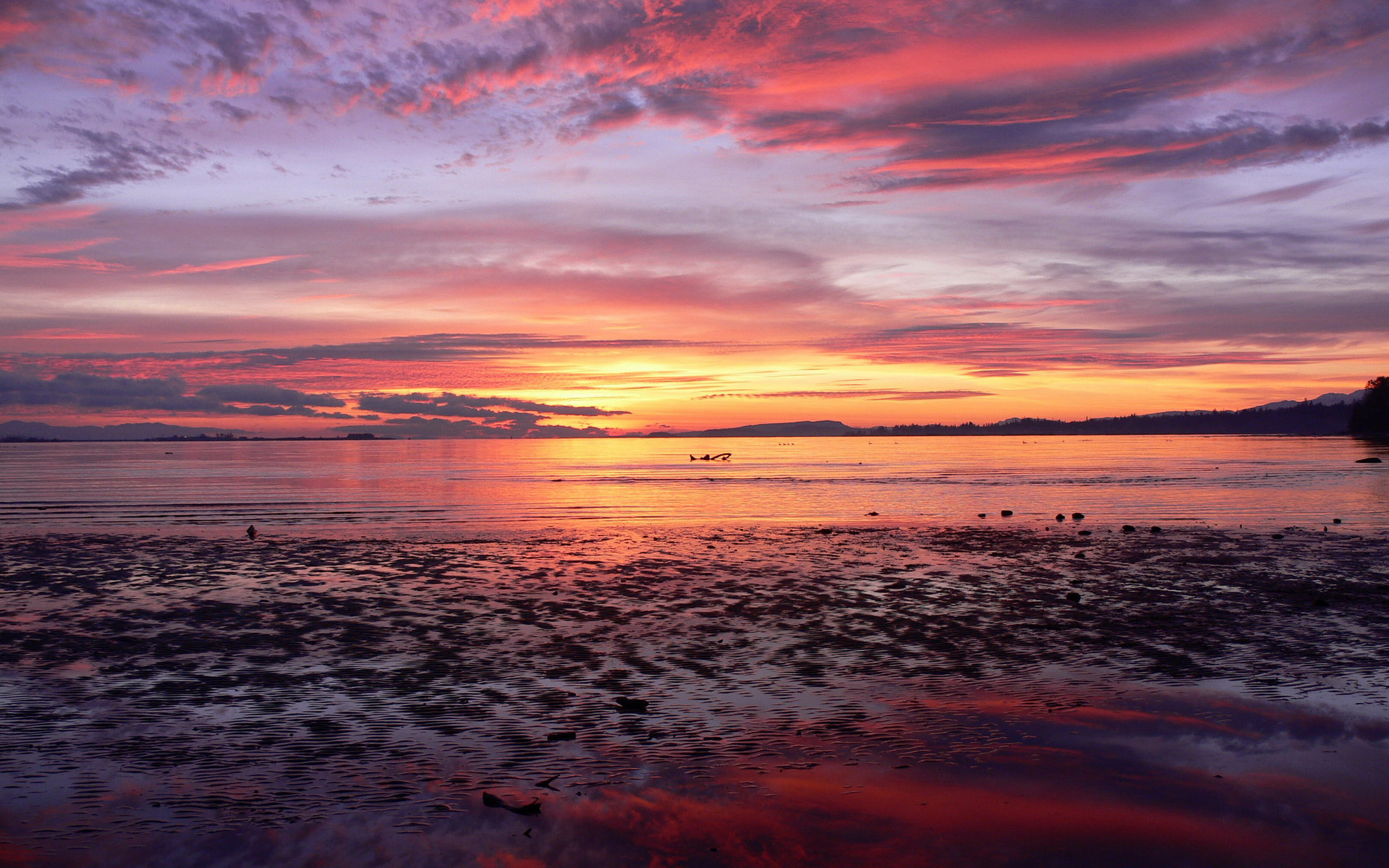 Beautiful Beach Sunrise | HD Pix