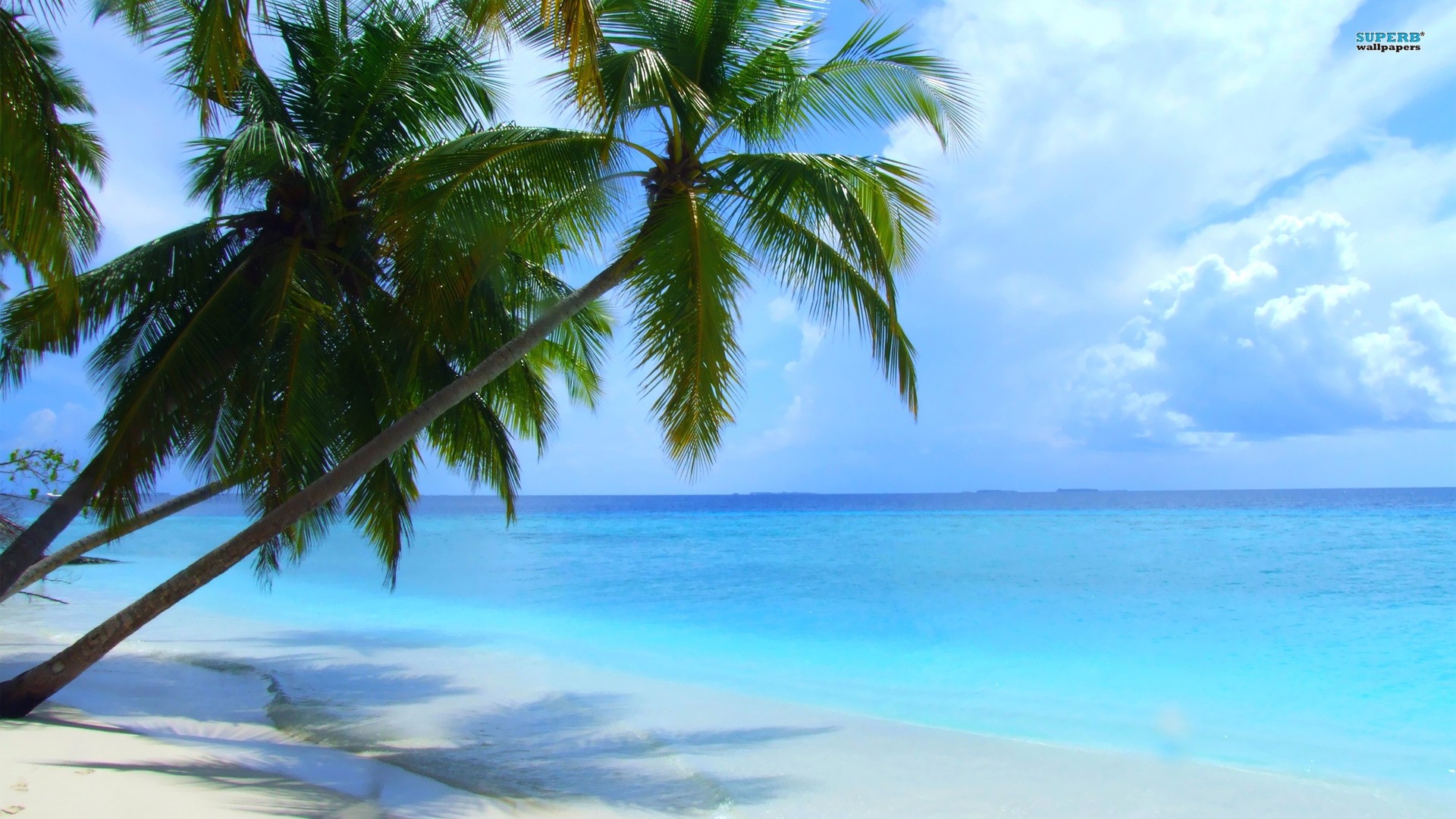 Beach Summer season Maldives Desktop and mobile wallpaper
