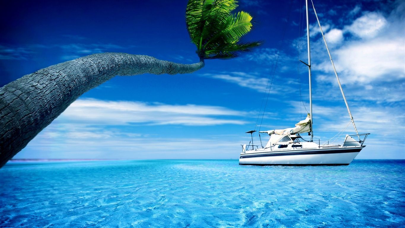 Boat, sea water, palm tree, hot summer sky Wallpaper 1366x768