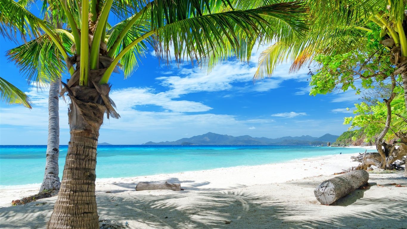Summer beach, sand, palm trees Wallpaper 1366x768 resolution