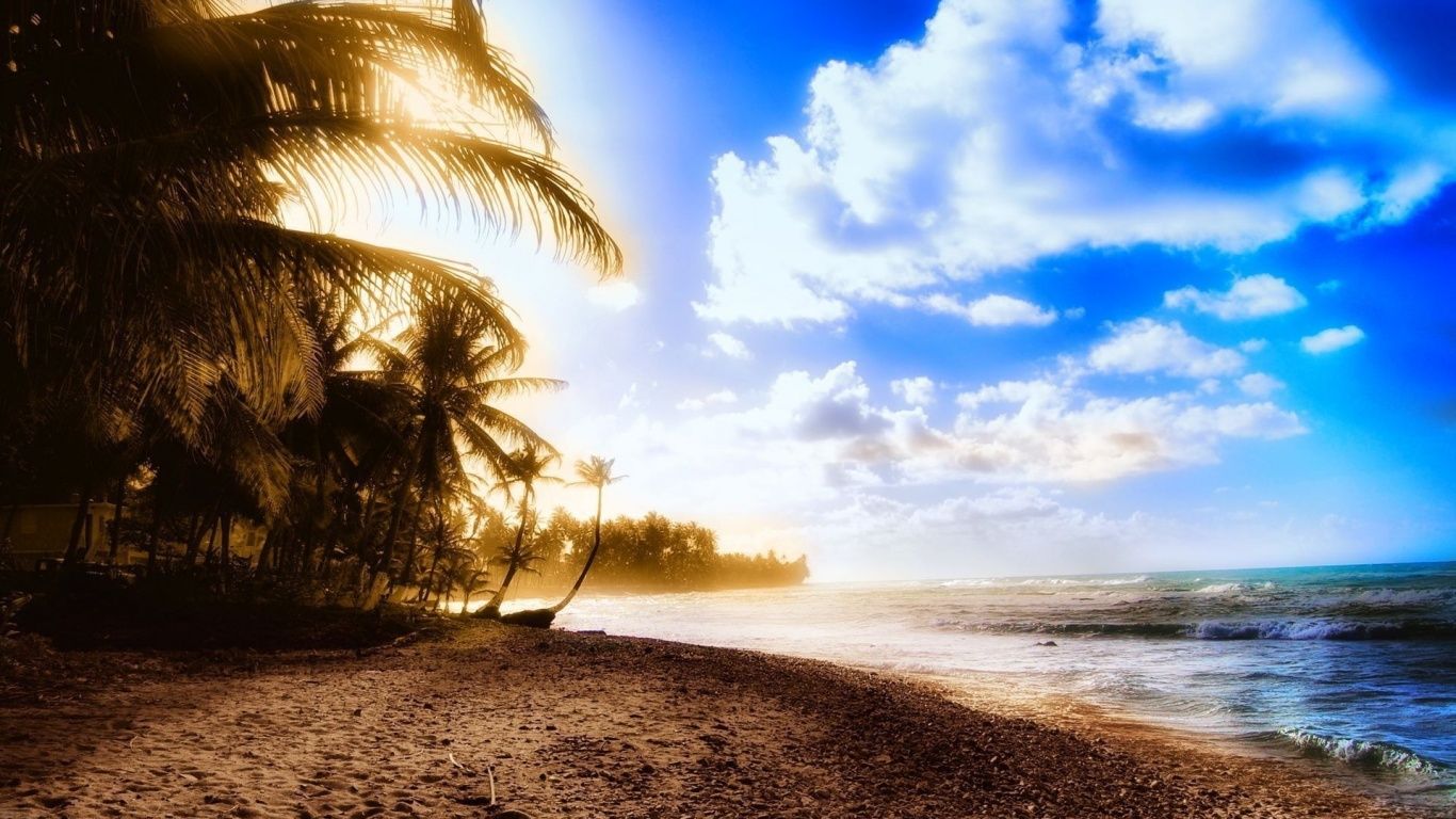 1366x768 Beach summer palms Wallpaper