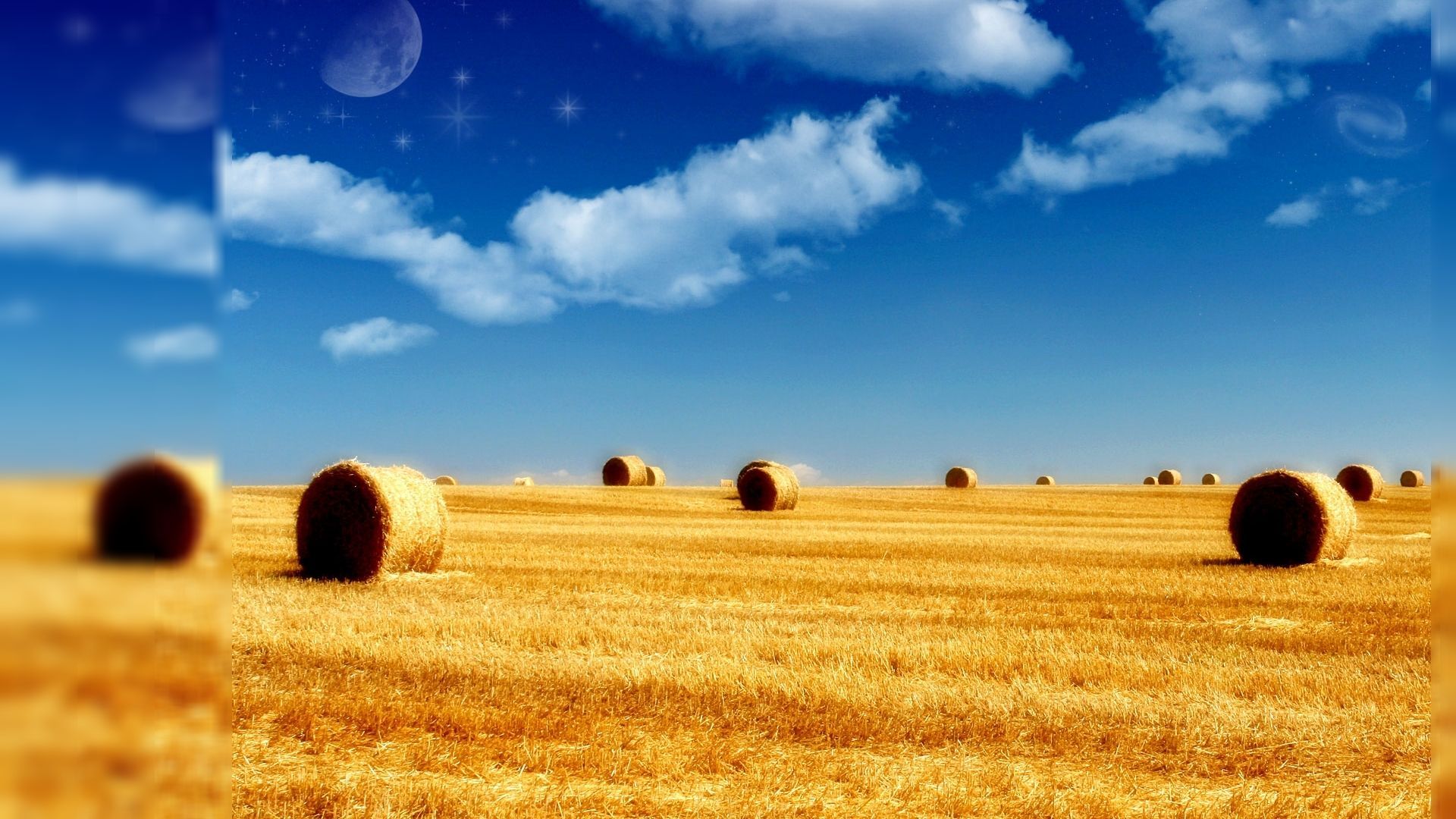 Поле берг. В поле. Пшеничное поле. Поле и небо. Август природа.