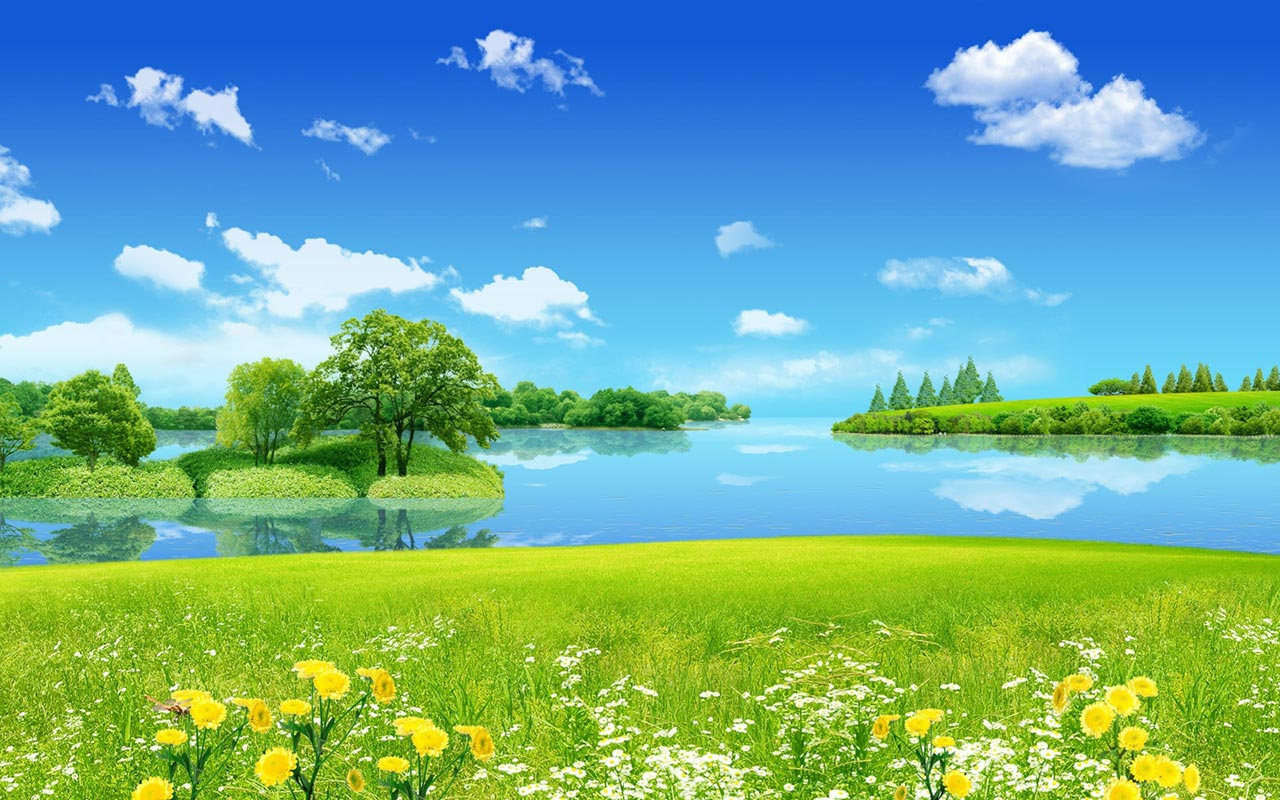 Summer Nature Wallpapers