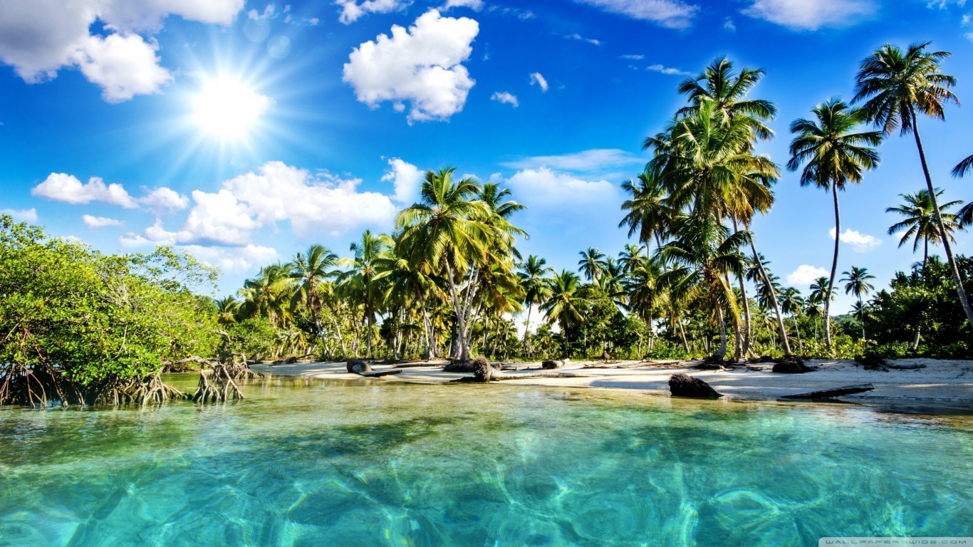 Tropics Palm Trees Sun Beach HD desktop wallpaper High resolution