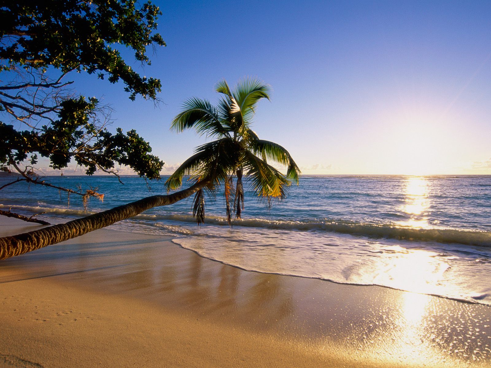 Download 1600x1200 tropical island beach scenery sun at water